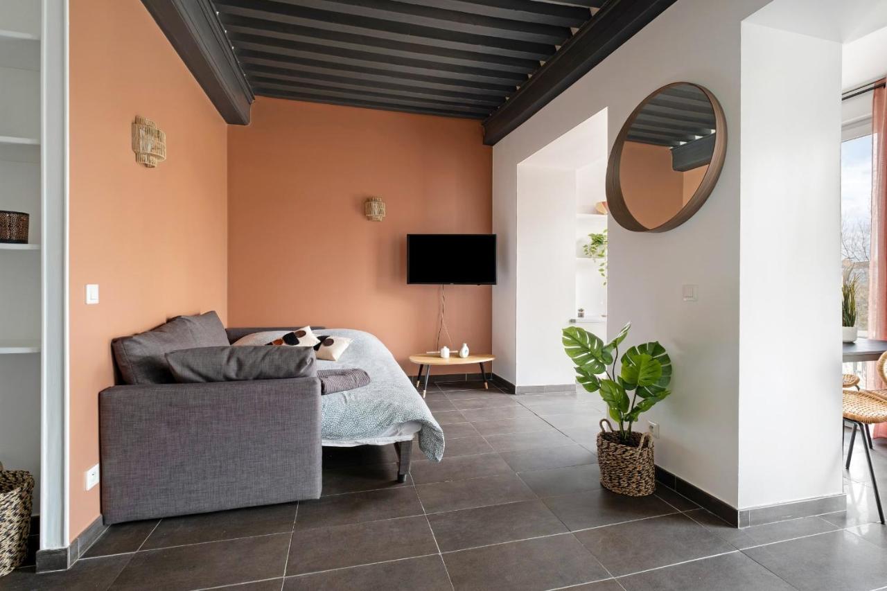 Lyon Cite- Appartement Vue Rhone Terrasse-Caluire Eksteriør billede